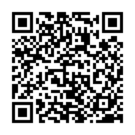 QR code for 29W521