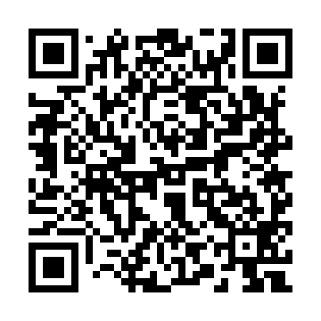QR code for 29W999