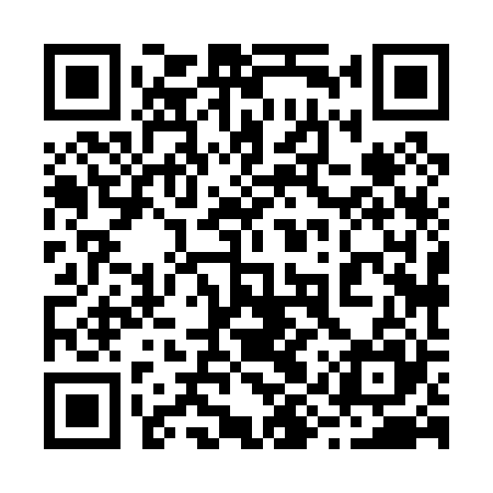 QR code for 29X025