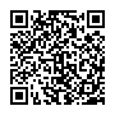 QR code for 29X510