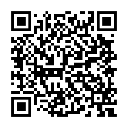 QR code for 29Y097