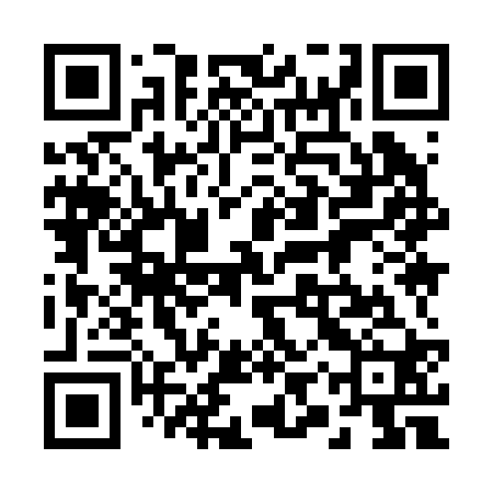 QR code for 29Y220