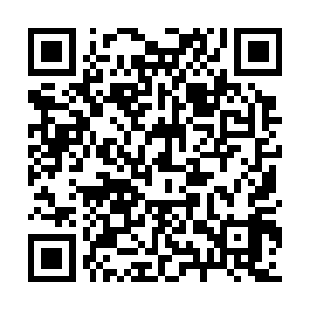 QR code for 29Y319