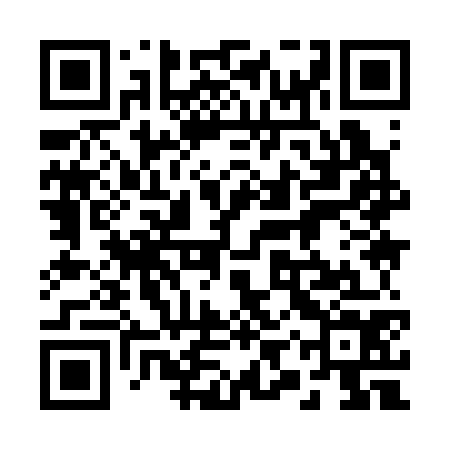 QR code for 29Y374