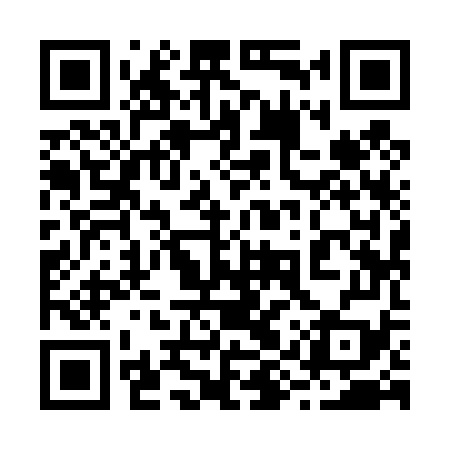 QR code for 29Y479