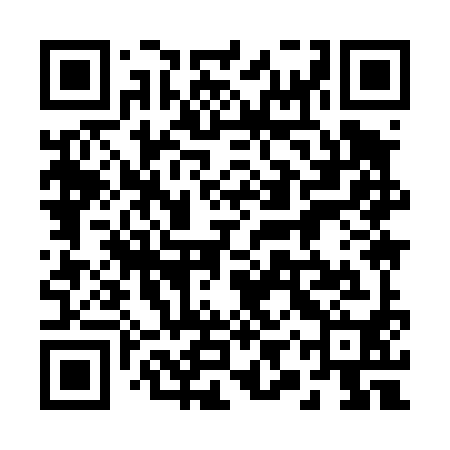 QR code for 29Y490