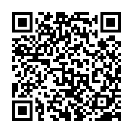 QR code for 29Y508