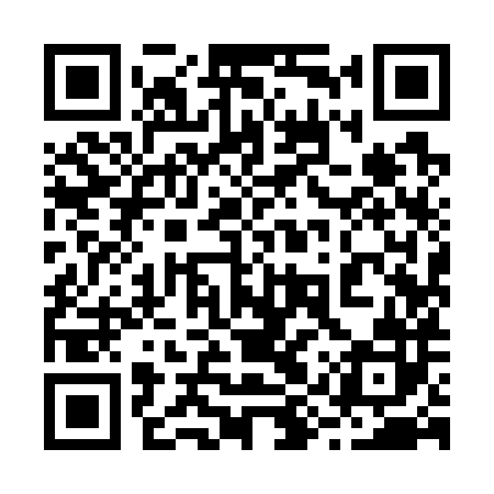 QR code for 29Y782