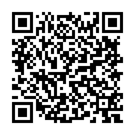 QR code for 29Y850