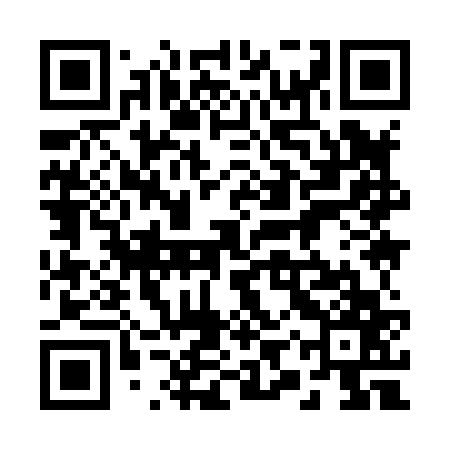 QR code for 29Y867