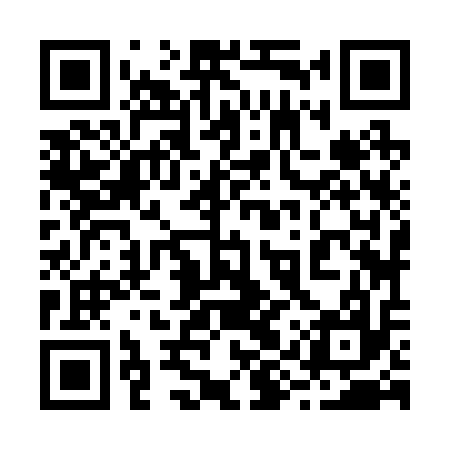 QR code for 29Z217