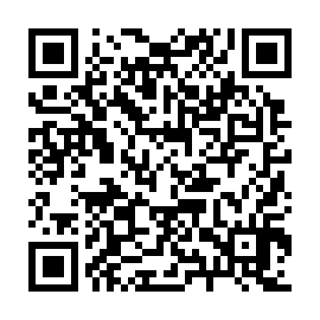 QR code for 29Z314