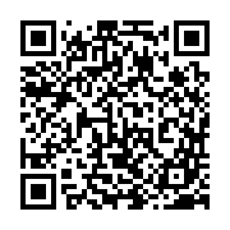 QR code for 29Z347