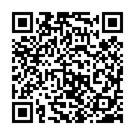 QR code for 29Z418