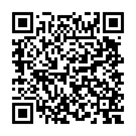 QR code for 29Z441