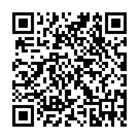 QR code for 29Z597