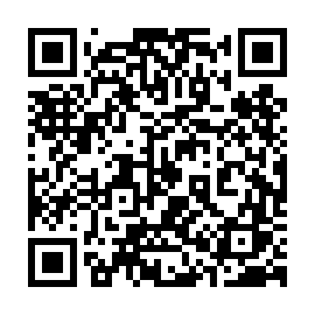 QR code for 300DFS