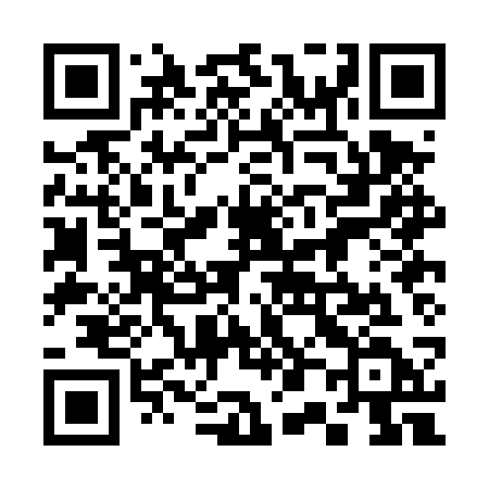 QR code for 300DSD