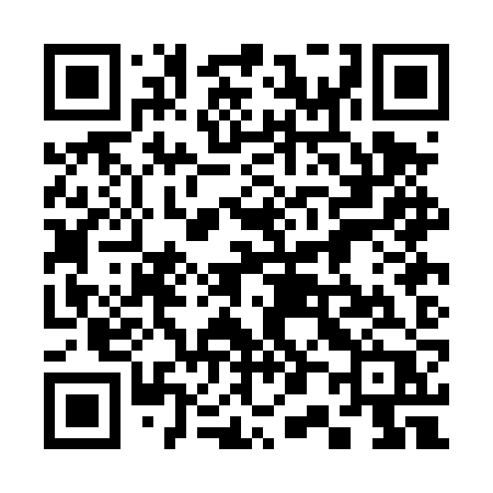 QR code for 300DZP