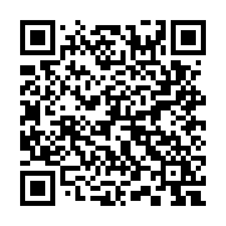 QR code for 300EVY
