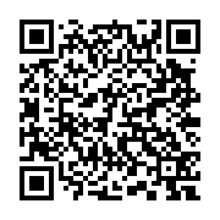 QR code for 300P33
