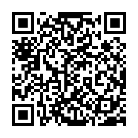 QR code for 300Q31