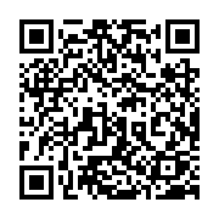 QR code for 300SSP