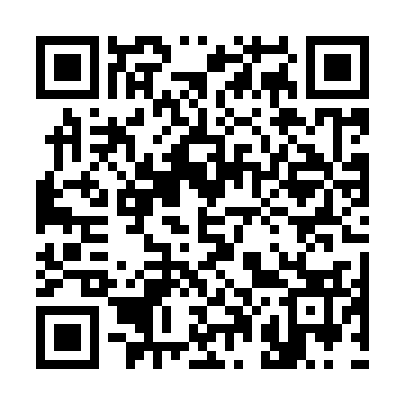 QR code for 300Y33