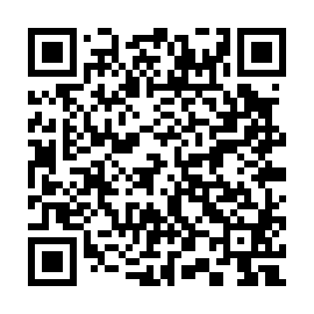 QR code for 301P80