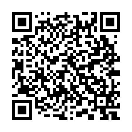 QR code for 301S95
