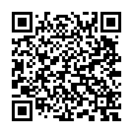 QR code for 301T29