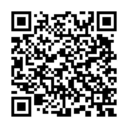 QR code for 302D29