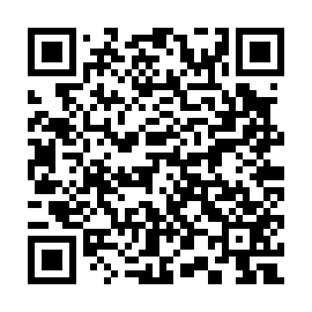 QR code for 302P53
