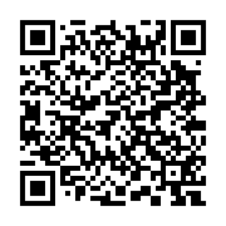 QR code for 303P51