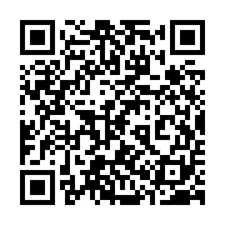 QR code for 303Z51