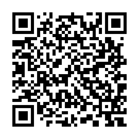 QR code for 306A95