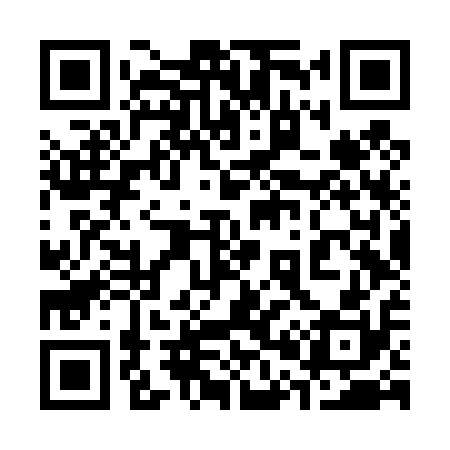 QR code for 306T10
