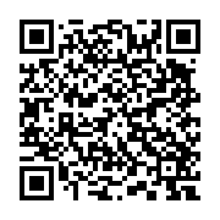 QR code for 307D46