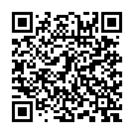 QR code for 307DLI