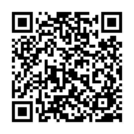 QR code for 307DUG