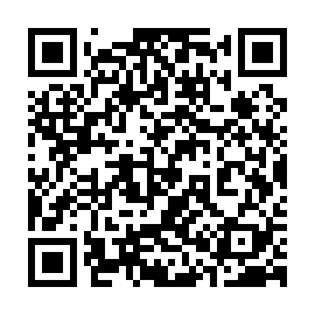 QR code for 307Q29