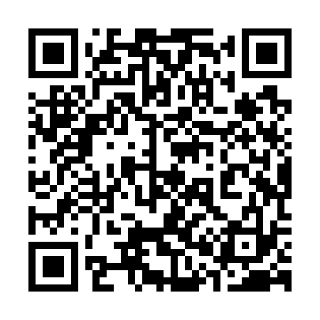 QR code for 308W33