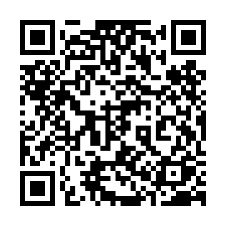 QR code for 309DBQ