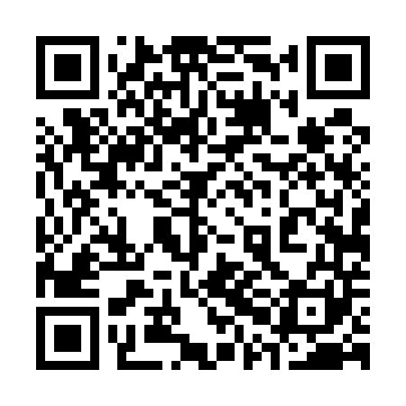 QR code for 30D541