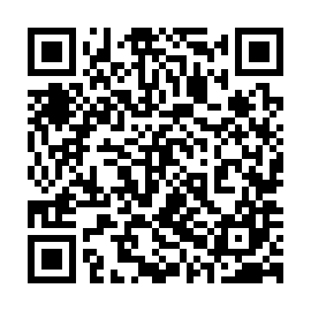 QR code for 30N387