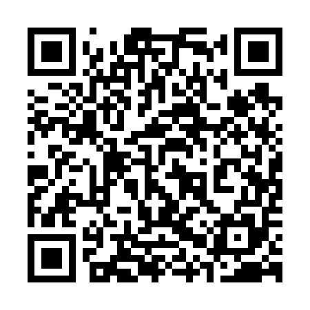 QR code for 30Q655