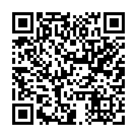 QR code for 30T338