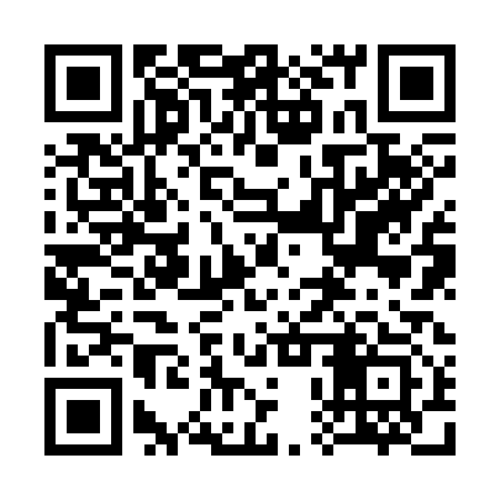 QR code for 30Z313
