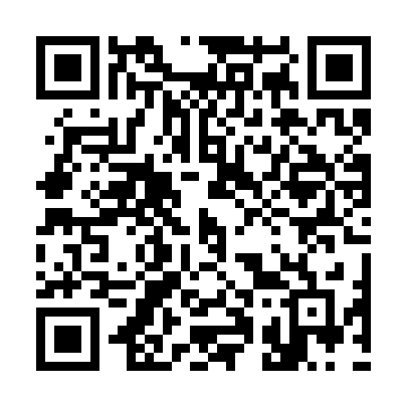 QR code for 310SKF