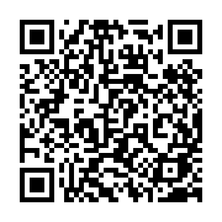 QR code for 311PMA